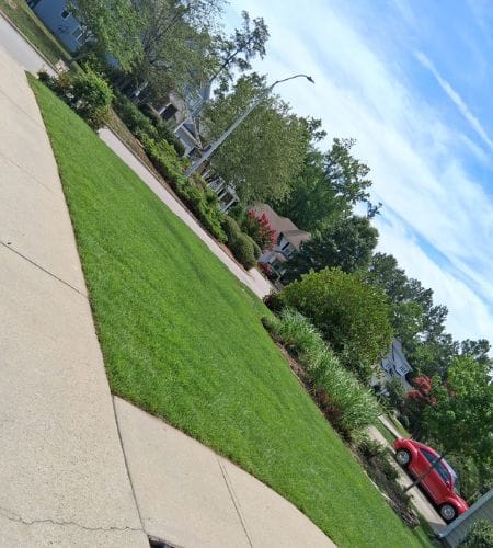 David’s Landscape Company