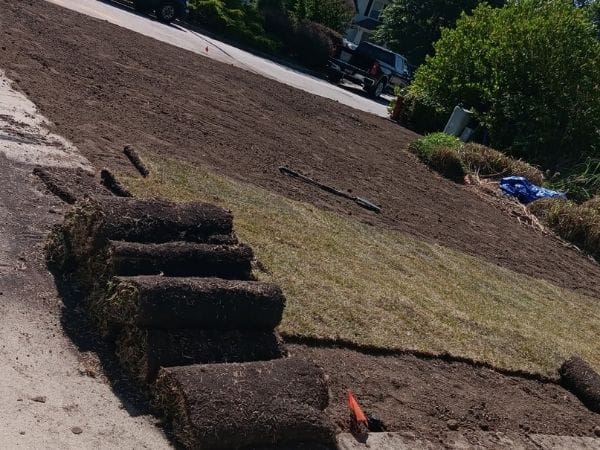 lawn care David’s Landscape Company