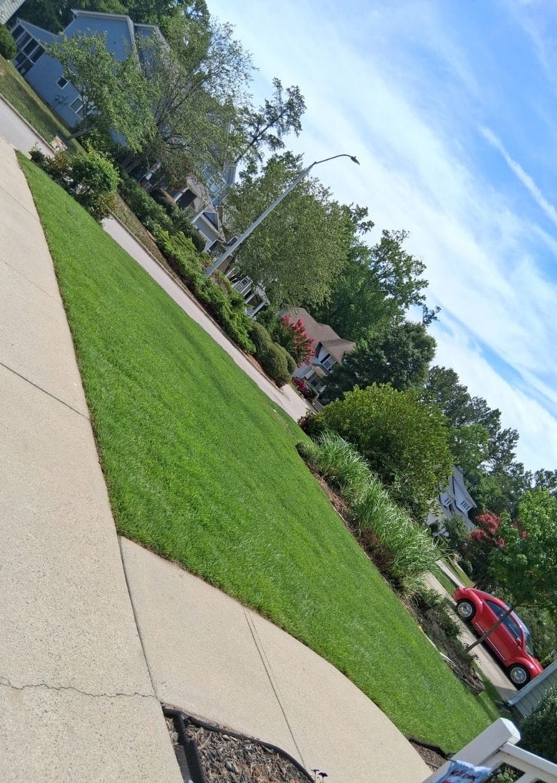 David’s Landscape Company